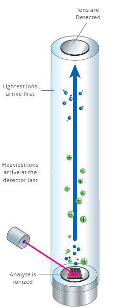 MassARRAY SNP Genotyping